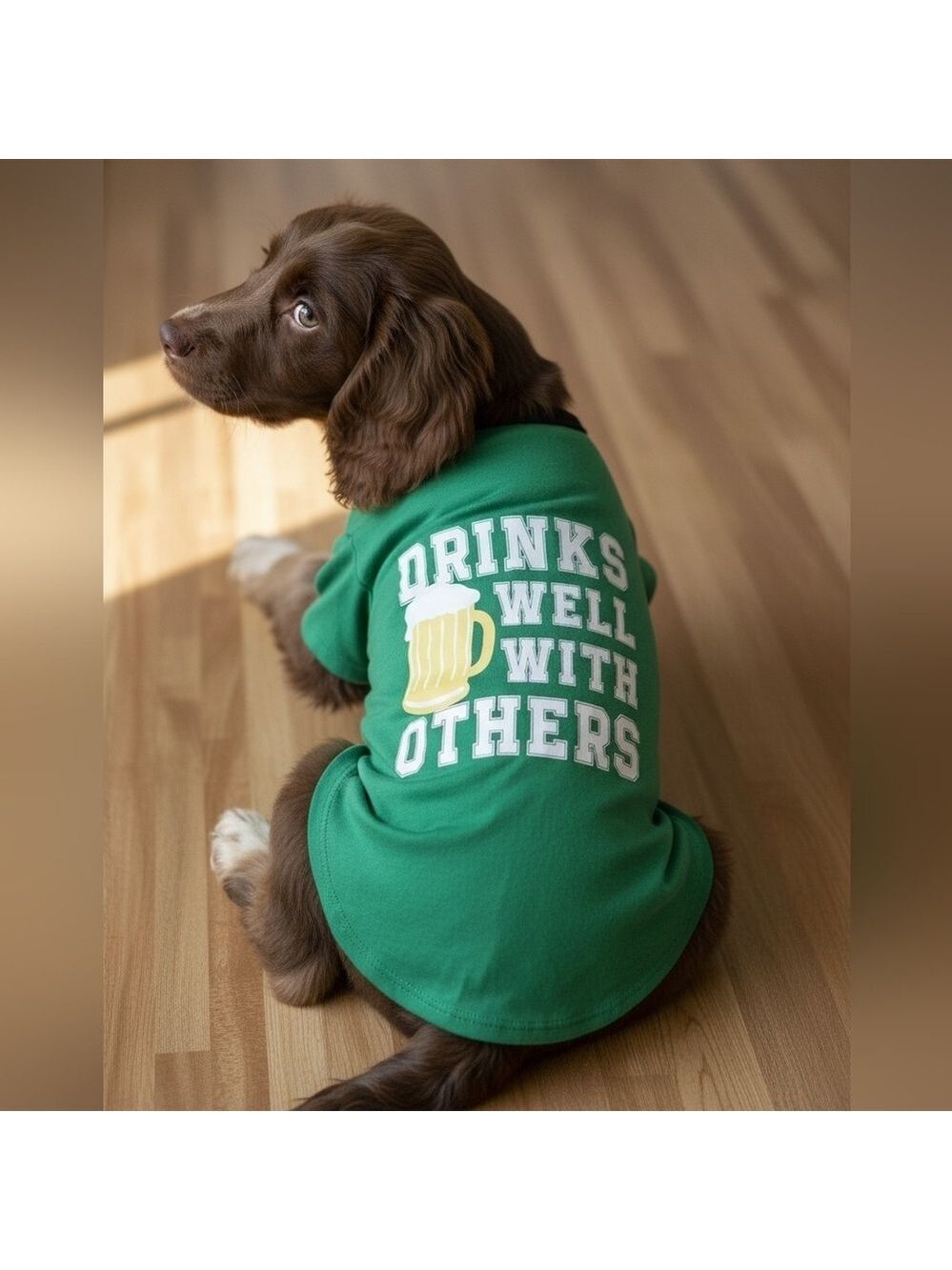 Dog Fun Graphic T Shirt (DGC6)